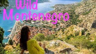 Montenegro Travel Highlights [upl. by Mimajneb]