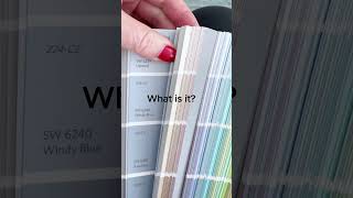 Sherwin Williams 2024 Paint Color of the Year [upl. by Edaw]