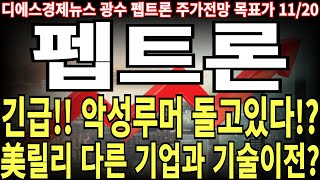 펩트론 주가전망 긴급 악성루머 돌고 있다 美릴리 다른 기업과 기술이전 feat 디에스경제뉴스 광수 목표가 [upl. by Nomael]