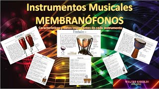 🥁INSTRUMENTOS MUSICALES 🥁​Membranófonos🥁 [upl. by Rochus648]