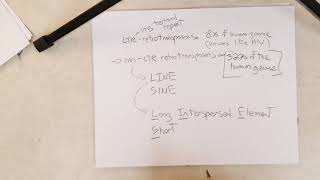 Genetics L26A Transposable Element Classes and LINEs Recommend 15x Speed [upl. by Auos]