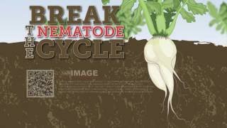 How Image Radishes Control Nematodes [upl. by Scholz]