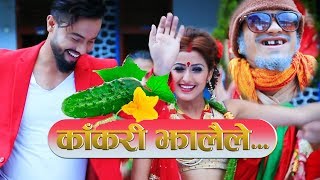 New Comedy Teej Song 20772020  KAKARI JHALAILE Ganesh adhikari ft Aashir Pratap Anjali Adhikari [upl. by Aicilla996]