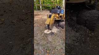 Stump Grinding Machine shorts ytshorts stumpgrinding stumpgrinder machine vehiclearmy2 [upl. by Tullusus]