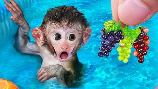 Bon Bon Baby Monkey Swimming Pool and Eats Grapes With Friends  BONBON MONKEY STORIES [upl. by Namhar360]