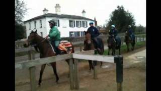 Newmarket Horses riding out 050411  Rouge Rose  Daniel Darc [upl. by Niela901]