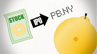 The IPO Process [upl. by Agee]