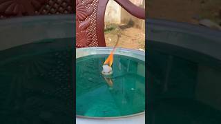 FIRE🔥🆚💦WATER experiment telugu hindi andhrapradesh odisha amma [upl. by Ahsinrad]