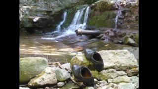 Business suit and wingtips in the woods mud and stream Part 2 [upl. by Atimed652]