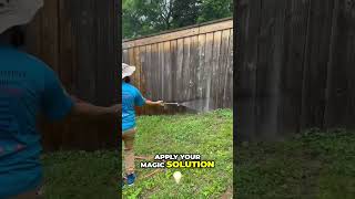 How to Soft Wash a Grody Wooden Fence in 15 Seconds or Less [upl. by Audrit]