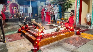 🔥Maa Aghorakaali Hawan 🔥 🔴 Live From Trichy [upl. by Kornher]