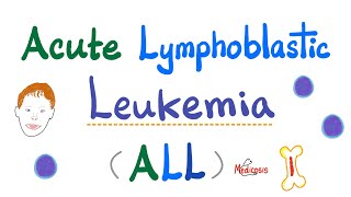 Acute Lymphoblastic Leukemia ALL  Symptoms Pathogenesis Diagnosis  Down Syndrome  Hematology [upl. by Hamford]