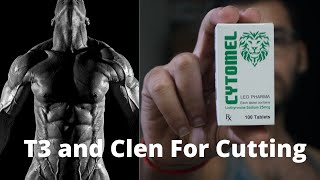 T3  Cytomel and Clenbuterol For Fat Loss In Hindi [upl. by Gennie]