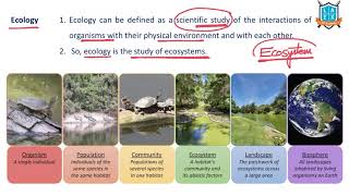 What is Ecology  Ecology అంటే ఏమిటి  La Excellence [upl. by Rowen]