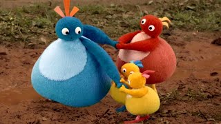 Twirlywoos  Big Twirlywoos Compilation Season 2  Best Moments  Fun Learnings for kids [upl. by Ttennaj]