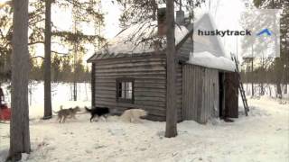 huskytrack Hundeschlittentour in Lappland [upl. by Nair273]