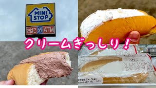 【この値段でぎっしりのクリーム！】ミニストップの「ホイップ好きのぎっしりホイップロール」 [upl. by Sellers]