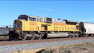 CP Grain Empties With UP SD9043MAC Robot  Central Alberta  20150520 [upl. by Tarttan]