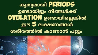 Symptoms of No Ovulation Deechus World Malayalam [upl. by Analim379]