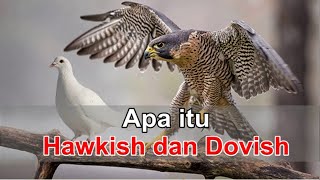 APA ITU HAWKISH DAN DOVISH [upl. by Haras]