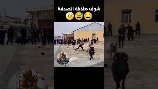 ماشيبلعاني😂😅تشبعضحك ضحك funny رايجزائري اكسبلور تيكتوك تراند الجزائرتونسالمغرب [upl. by Nivrek]