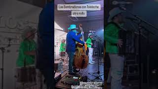 Bien chicoteado ese tololoche corridos regionalmexicano viralvideo musicamexico musica music [upl. by Tindall]