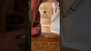 Refinishing stair treads woodfloors staining satisfying Woodworking BeforeAndAfter Restoration [upl. by Mastat]