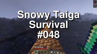 Minecraft Snowy Taiga Survival  048 [upl. by Ellierim]