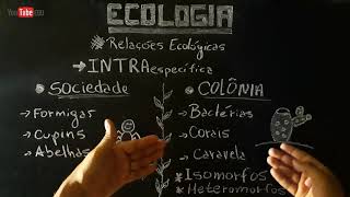 Relações ecológicas Intraespecíficas Harmônicas  COLONIA e SOCIEDADE [upl. by Llednav485]