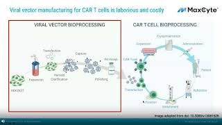 A cGMP Compatible NonViral CAR T Cell Manufacturing Process [upl. by Richarda]