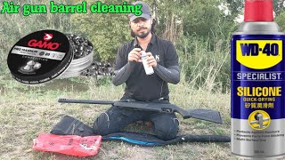 Air gun barrel cleaning gamo 10 x [upl. by Aivatal]