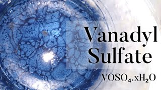 Vanadyl Sulfate  Preparation [upl. by Leahcar843]