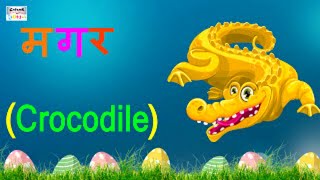 तीन वर्णों के शब्द  Learn Hindi Three Letter Words For Beginners  Learning Grammar [upl. by Arabeila]