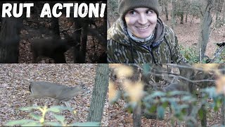 2024 PA Archery Season Ep 2 Rut Action [upl. by Adamson]