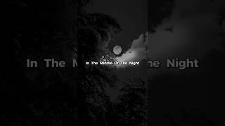 Elley Duhé  Middle Of The Night  Slowed  Lyrics darkvibes lyrics shorts [upl. by Etteyafal]