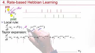 NDC64  Models of LongTerm Plasticity Hebbian learning and BienenstockCooperMunro rule [upl. by Erdna454]