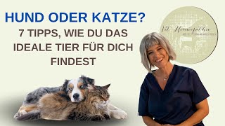 🐶 🐱 Hund oder Katze 7 Tipps wie Du das ideale Tier für Dich findest  Ganzheitliche Gesundheit [upl. by Bunni]