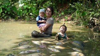 How to harvest giant fish ponds to sell at the market  cook with your children [upl. by Tdnaltroc]