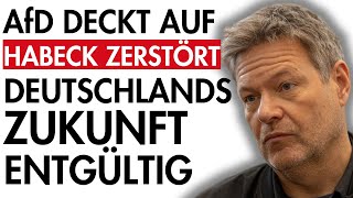 💥AfD enthüllt Ampel in Panik  Habeck zerstört Deutschlands Zukunft🤯 [upl. by Esinel]