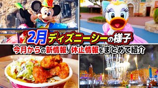 【休止情報に注意】今月のシーは人気アトラクションもお休み中  2月の東京ディズニーシーの様子 [upl. by Wendall]