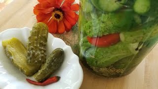 FERMENTED brined PICKLES  crunchy amp healthy [upl. by Wager]