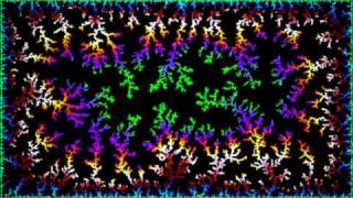 Diffusion Limited Aggregation 2D DLA 2 [upl. by Suivatna]