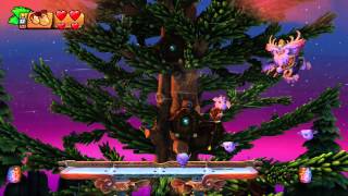 Donkey Kong Country Tropical Freeze 2Boss Mountaintop Tussle 1080 HD [upl. by Henry]