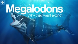 The Truth Behind Why Megalodon Went Extinct  Encyclopaedia Britannica [upl. by Masao]