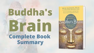 Buddhas Brain  Free Audio Book Summary  Mr Un2known [upl. by Polash113]