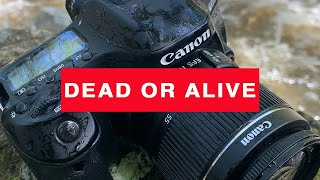 CANON EOS 80D update DEAD or ALIVE  😳 [upl. by Nirtiac]