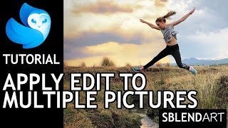 enlight Quickshot photo editor tutorial  Apply edit to muliple images [upl. by Newlin]