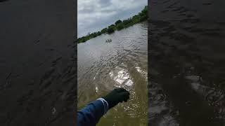 Crossing the Coastal Prairie Trail Lagoon [upl. by Gabi]