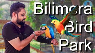 Exotic Bird Park  पक्षी घर  Bilimora  Navsari  South Gujarat   Vampasur [upl. by Tann]