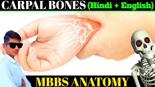 carpal bones🦴  mbbs anatomy🔥  attachment ossification and peculiarities  hindi English दोनों 👍 [upl. by Noyar]